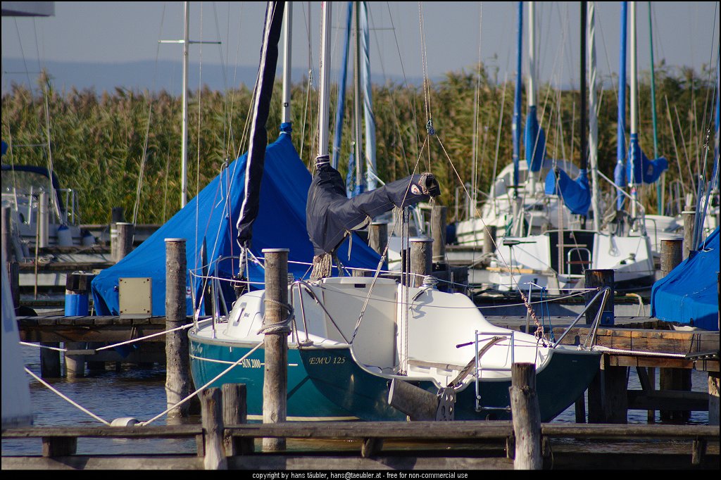 20060913_IMG_000222.JPG - Segelboote im Hafen von M�rbisch am Neusiedler See, Burgenland (�sterreich)