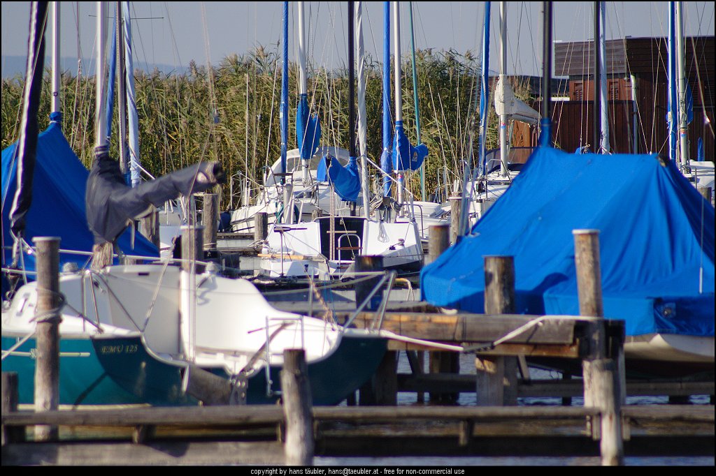 20060913_IMG_000223.JPG - Segelboote im Hafen von M�rbisch am Neusiedler See, Burgenland (�sterreich)
